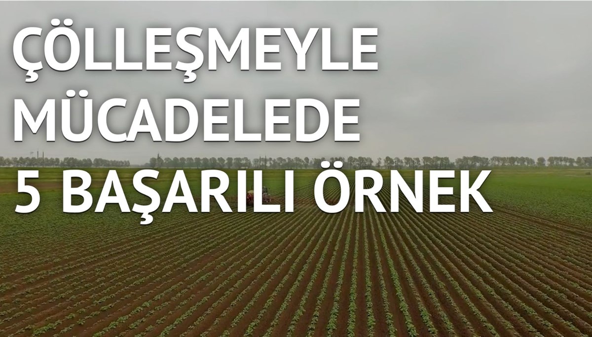 Çölleşmenin önüne geçebilmiş 5 büyük proje