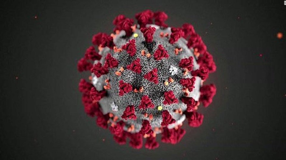 İngiltere’de ortaya çıkan corona virüs mutasyonu aşıları etkileyebilir mi? - 1