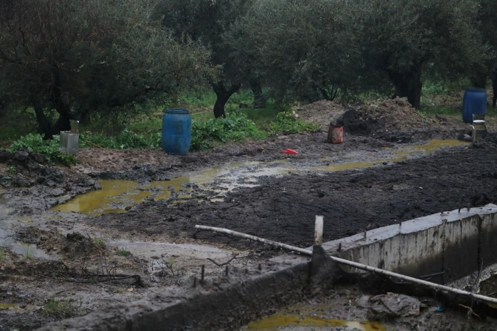 Depolar patladı tonlarca litre zeytinyağı araziye yayıldı - 5