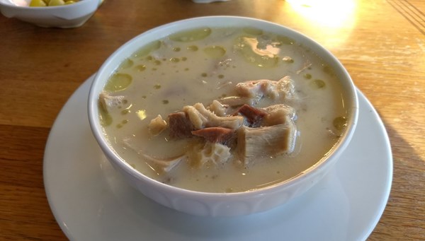 Kolajen vücudu güçlendiriyor (Yaşlanmaya kolajen kalkanı)