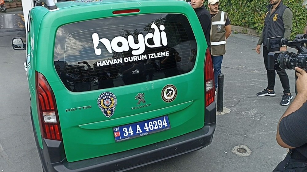 Polis Şeyda'yı şehit eden suç makinesi nasıl tutuklanamadı? - 5