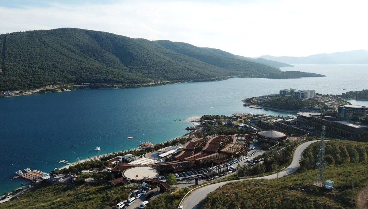 Bodrum'da yanan orman alanları yeşermeye başladı Bodrum'da yanan orman alanları yeşermeye başladı