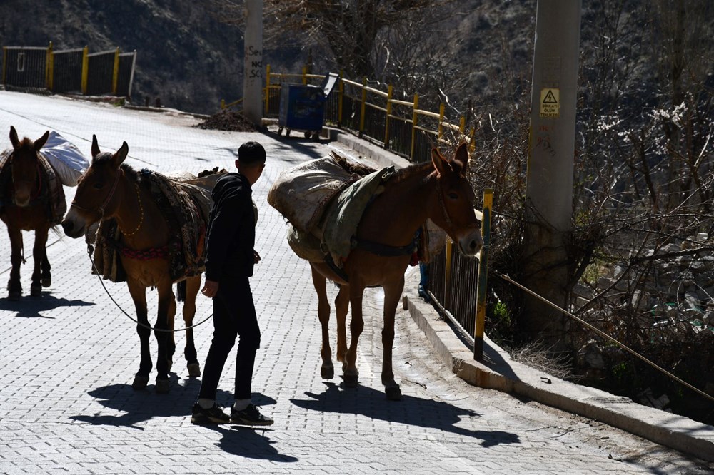 At Sırtında Miras: Gübre Taşımacılığının Asırlık Hikayesi 73 NwfeC WMgEqSS ceBEI1Aw