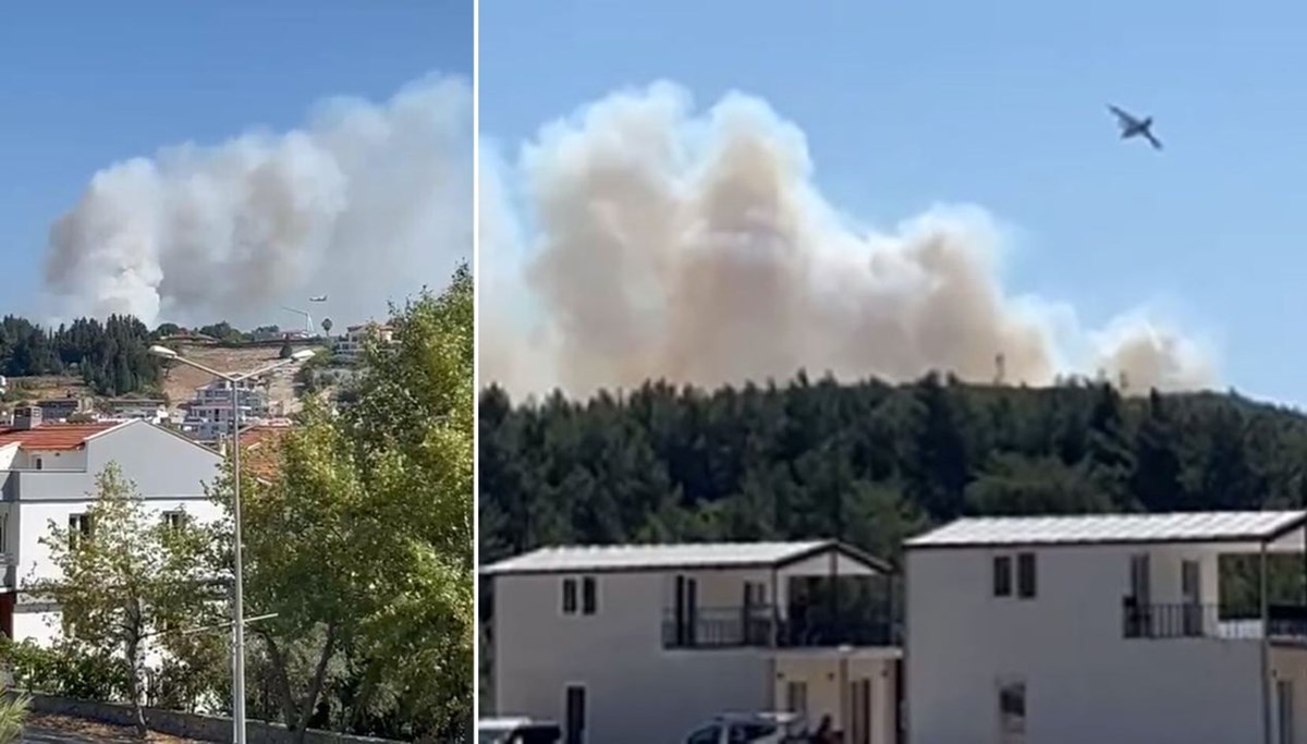 Urla ve Aliağa'da yangın