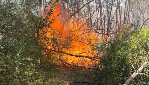 Elazığ'da otlukta yangın