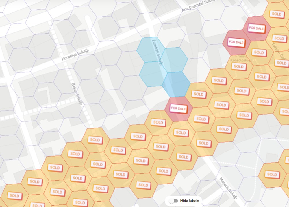 Sanal arsa çılgınlığı: Boğaz hattı kapış kapış satılıyor - 4