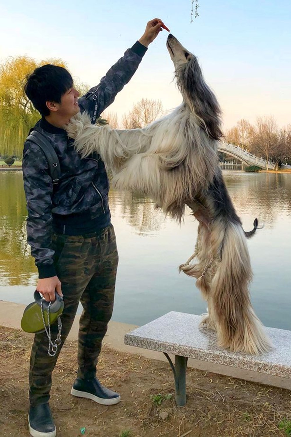 Dünyanın en güzel köpeği ile tanışın AJ Nirvana Battle Magazin