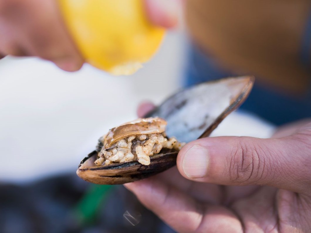 Bodrum Da Midye Dolma Yiyen 50 Kisi Zehirlendi Ntv