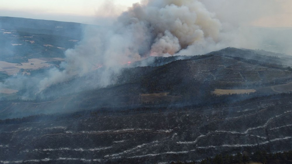 Türkiye'nin ciğerleri yanıyor: İşte yangınlarda son durum - 15