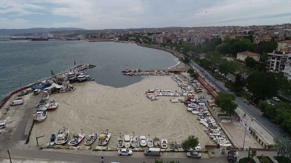 Türkiye’nin geleceğini tehdit eden deniz salyası ABD basınının gündeminde - 3