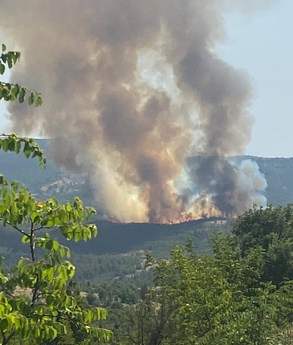 Afyonkarahisar, Kütahya ve İzmir'de orman yangını - 13