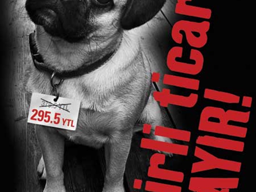 hayvanlarin sorunu cok ntv