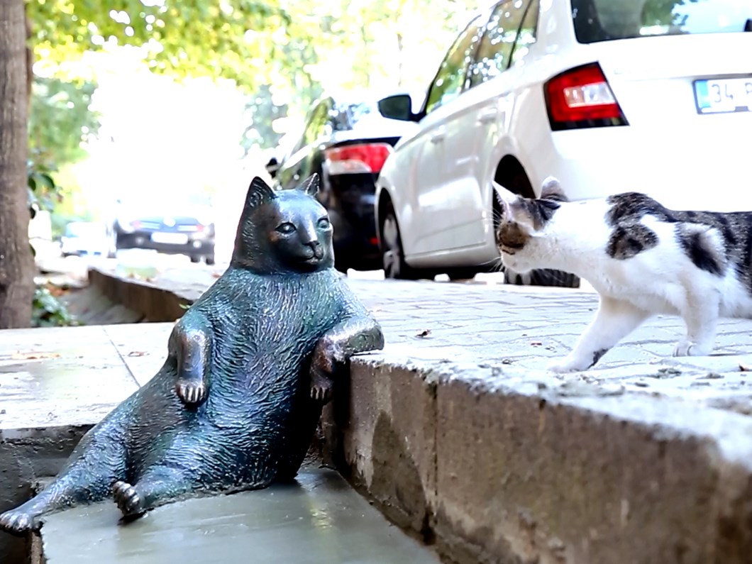 kadikoy un kedisi tombili heykeli acildi