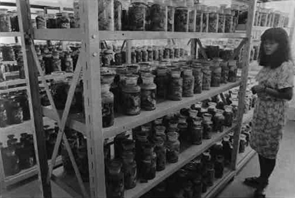 İnsanlığın kaybettiği yer: Hiroşima - 16