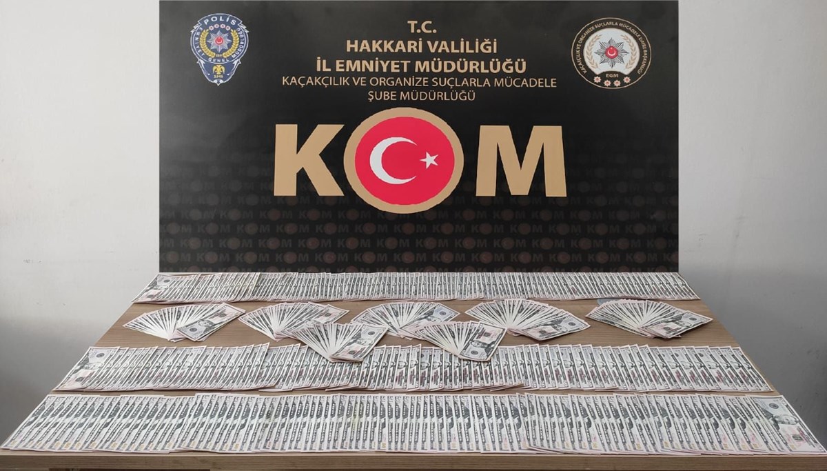 Hakkari'de 48 bin 100 dolar sahte para ele geçirildi