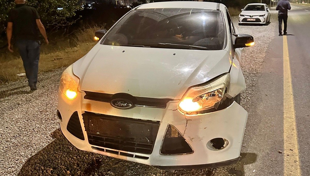 Malatya'da otomobil domuza çarptı