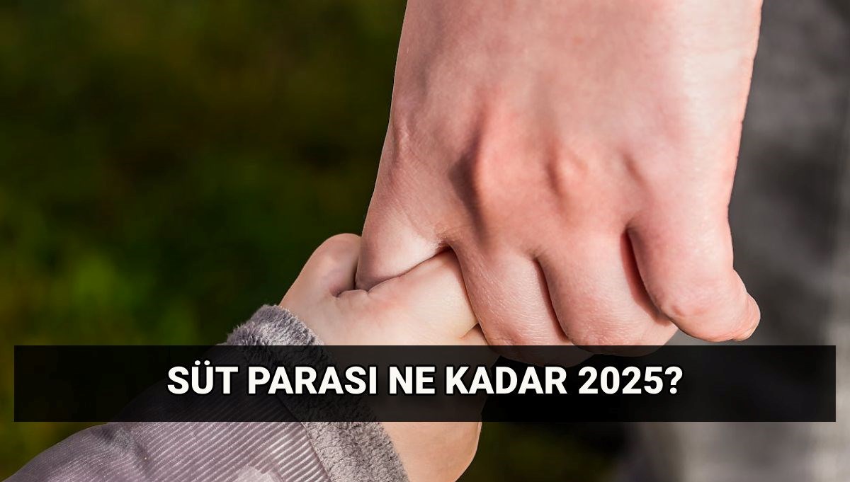 2025 Süt parası ne kadar? Emzirme/süt yardımı kimlere verilir?