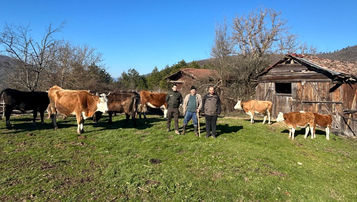 Bolu'da kaybolan hayvanları drone buldu