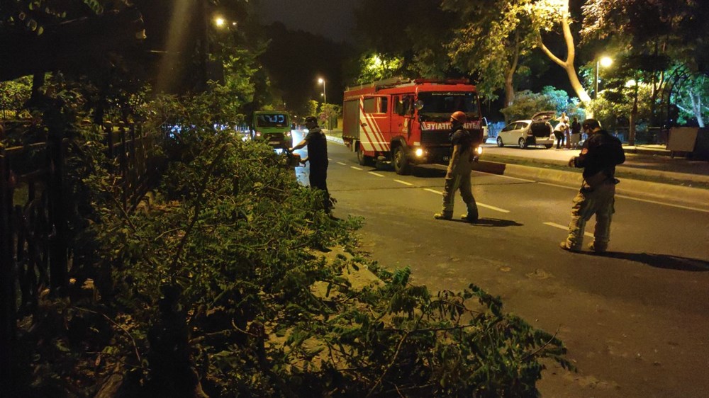 Üsküdar'da ağaç yola devrildi - 2