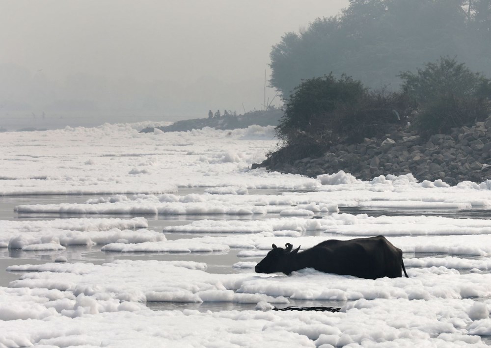 Hindistan'da Yamuna Nehri zehirli köpükle kaplandı - 7