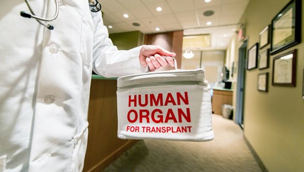 “Organ naklinde öncelik kadavradan organ temin etmek olmalı”