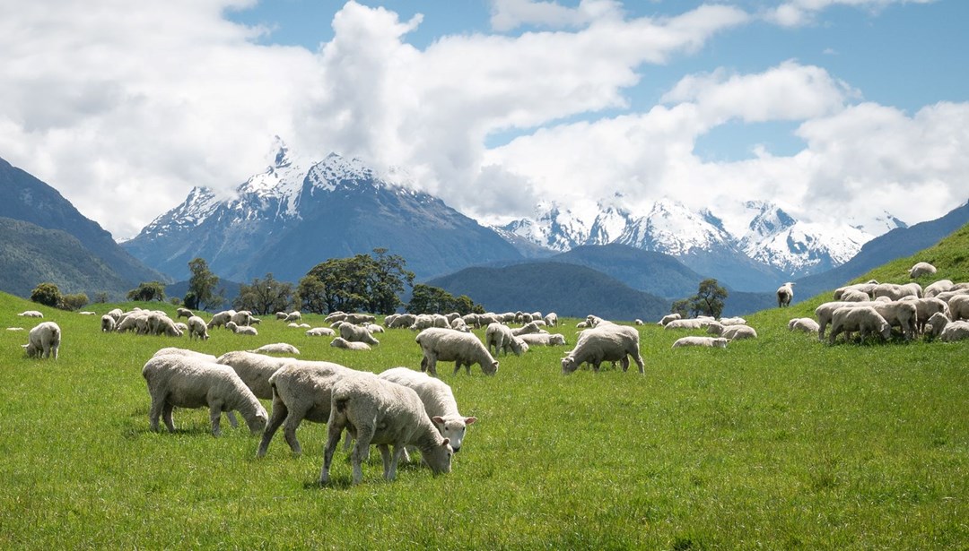 İnsan yok, vergi var: ABD ıssız adalara bile tarife uyguluyor