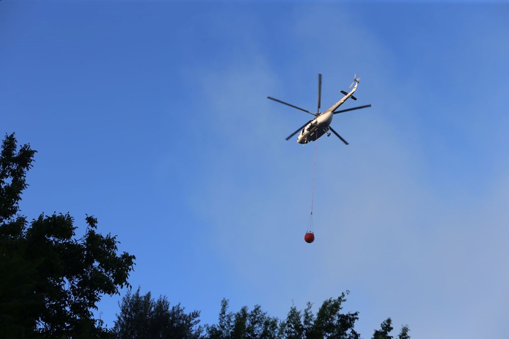 Hatay Dörtyol'da orman yangını sürüyor: Müdahale yeniden başladı - 3