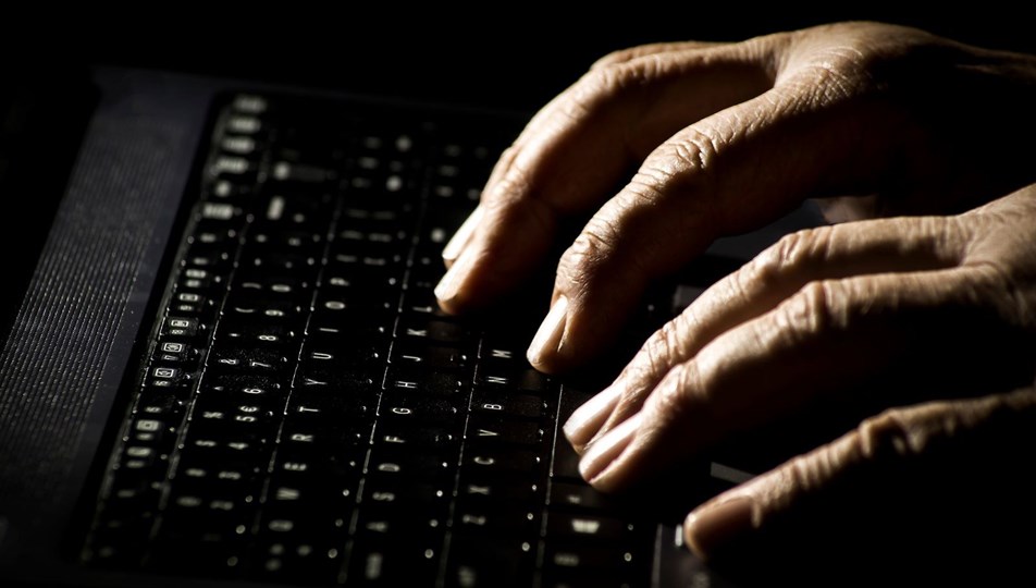 2020'de neleri merak ettik? Wikipedia açıkladı