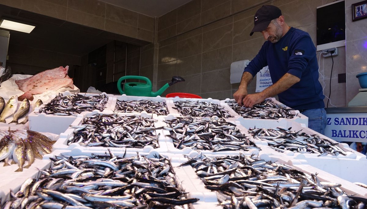 Karadeniz'de hamsi bolluğu