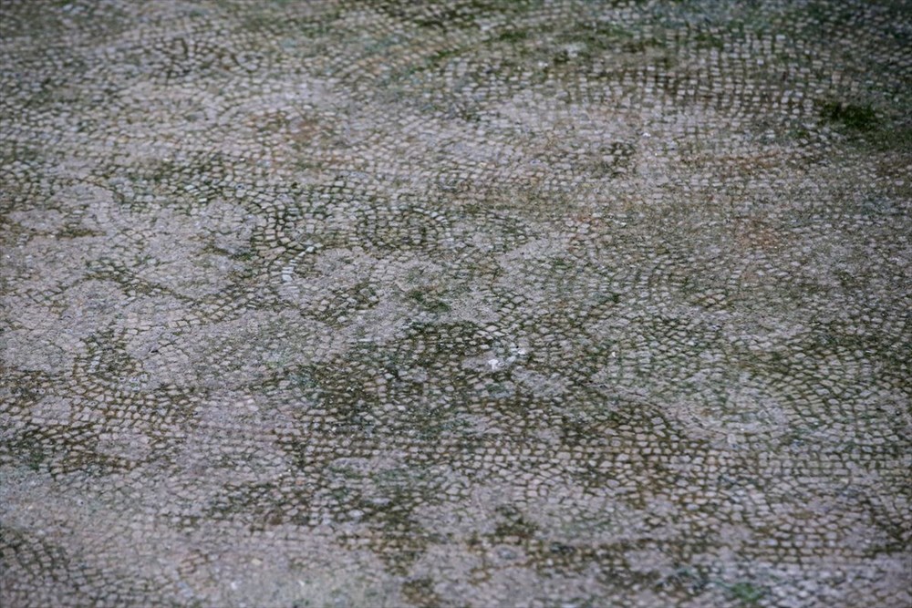 Tarihi mozaikler koruma altına alındı - 9