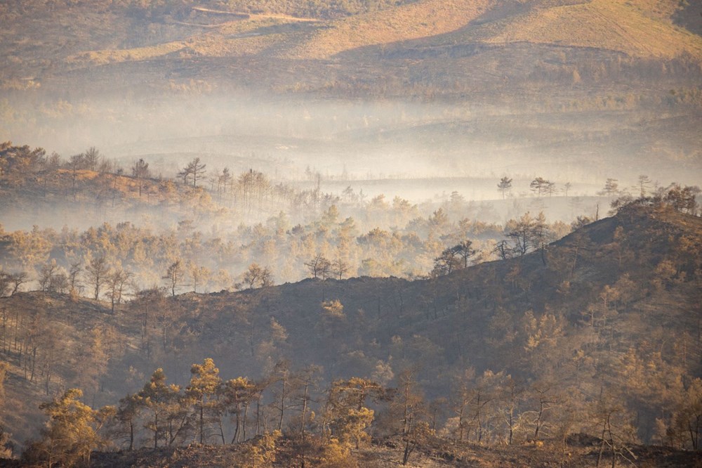 Marmaris'te orman yangını: Bakanlar son durumu açıkladı - 49