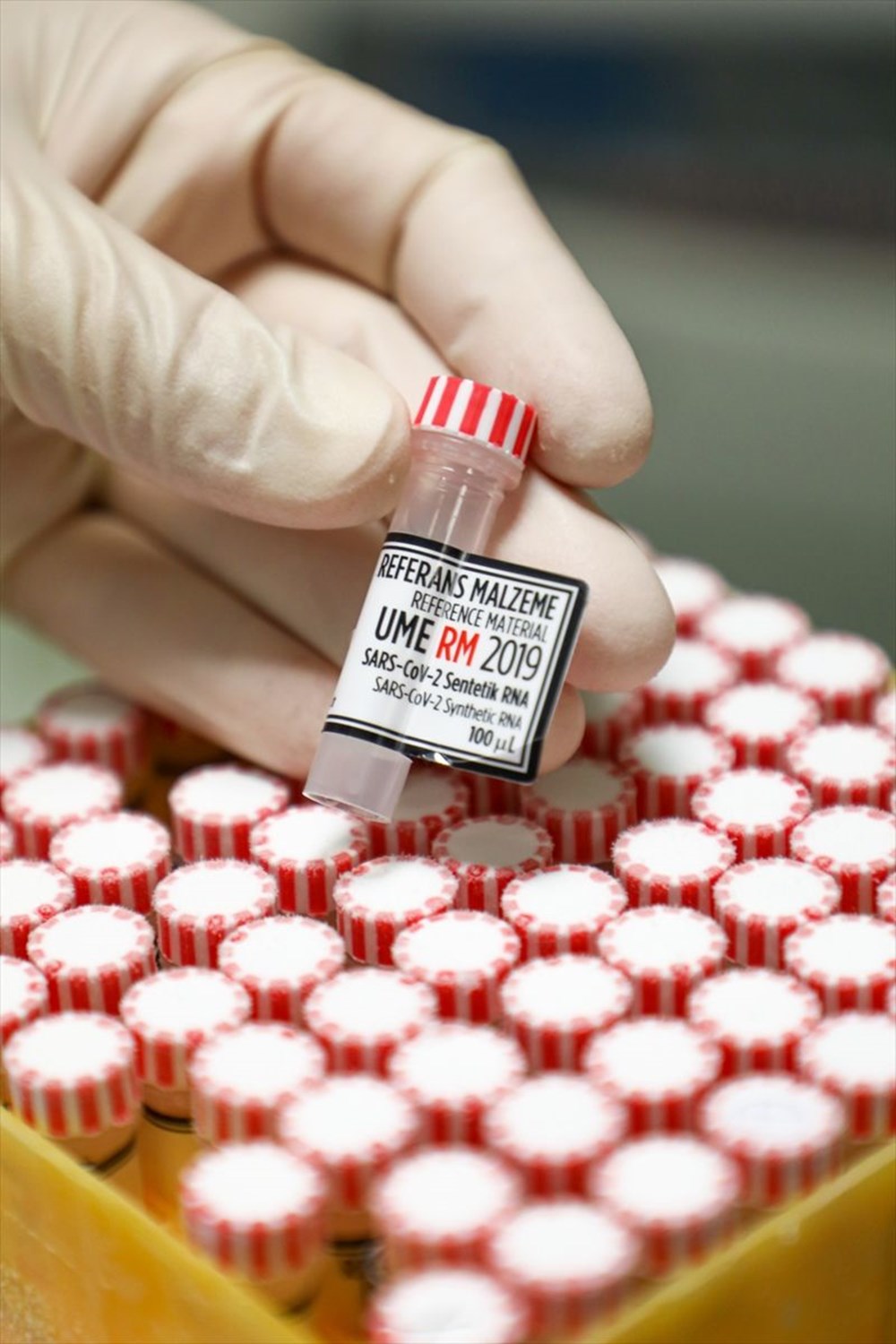 PCR testlerinde yeni dönem - 12