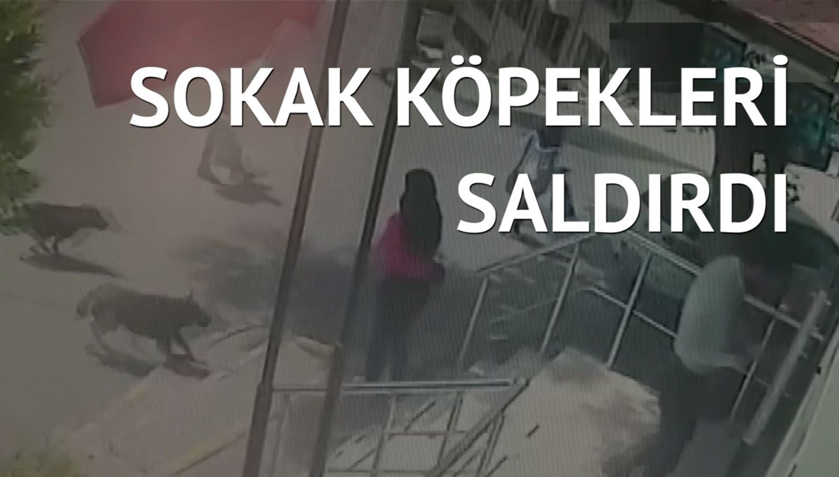 Bebeğini kontrole getiren genç kadın bacağından yaralandı