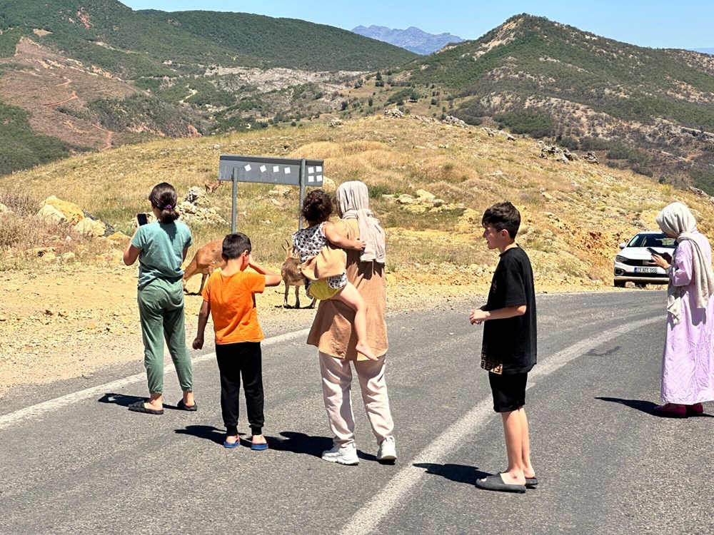 Tunceli'de ölümcül uyarı: "Yolda gördüğünüz an uzak durun!" - 5