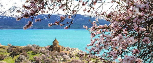 Çiçeklere bürünen Akdamar Adası görsel şölen sunuyor