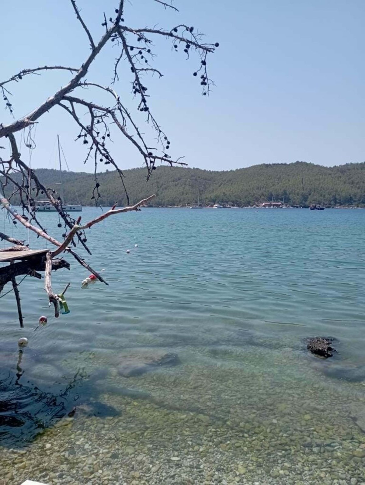 Dünyaca ünlü koyda tepki çeken görüntü