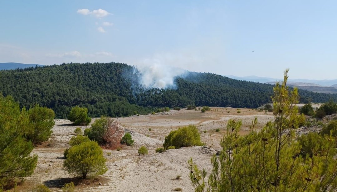 Balıkesir'in iki ilçesinde orman yangını: Havadan ve karadan müdahale ediliyor