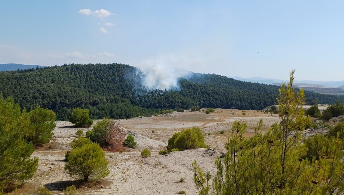 Balıkesir’de arazide başlayan yangın ormana sıçradı: Havadan ve karadan müdahale ediliyor