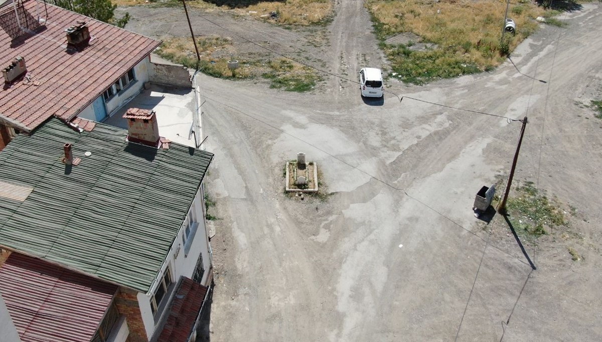 Yol ortasında şaşırtan görüntü