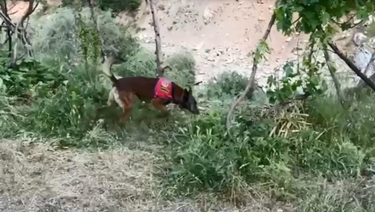 Bitlis'te uyuşturucu operasyonu Bitlis'te uyuşturucu operasyonu