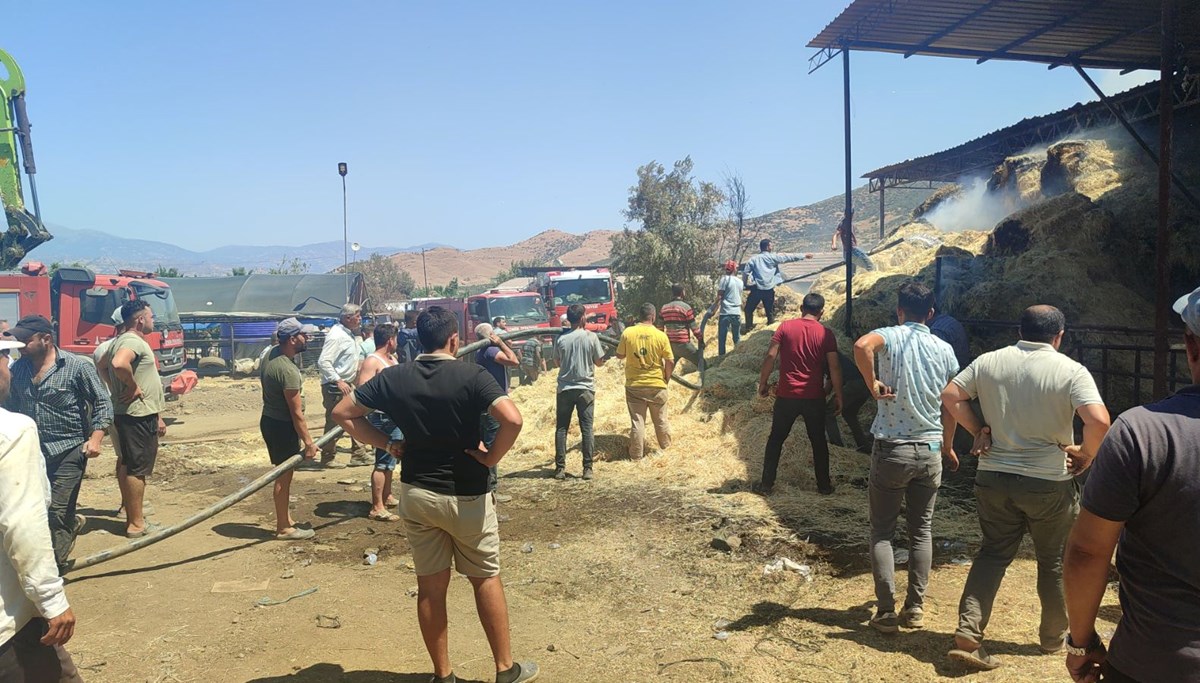 İzmir'de çiftlik alevlere teslim oldu