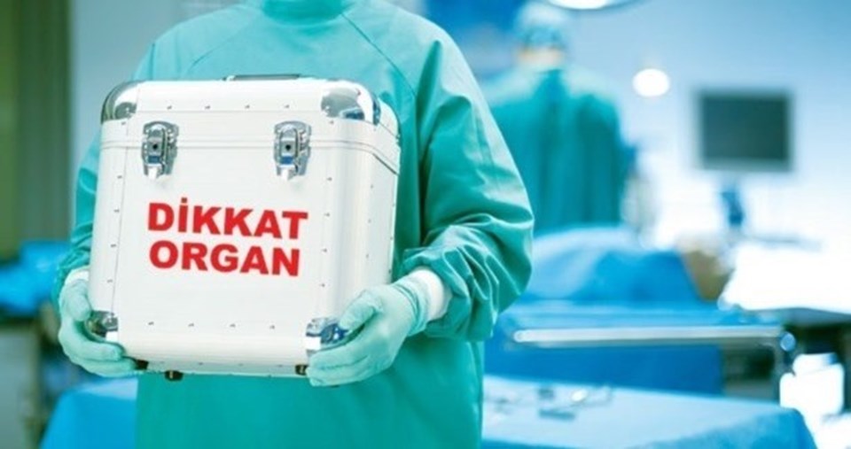"Hayata yelken açmaya hazır mısın?" - 1