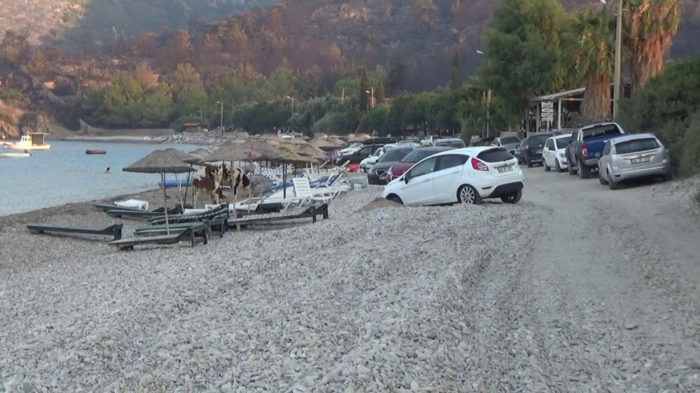 Muğla'daki yangın: Mazı Mahallesi'nden geriye bunlar kaldı - 7