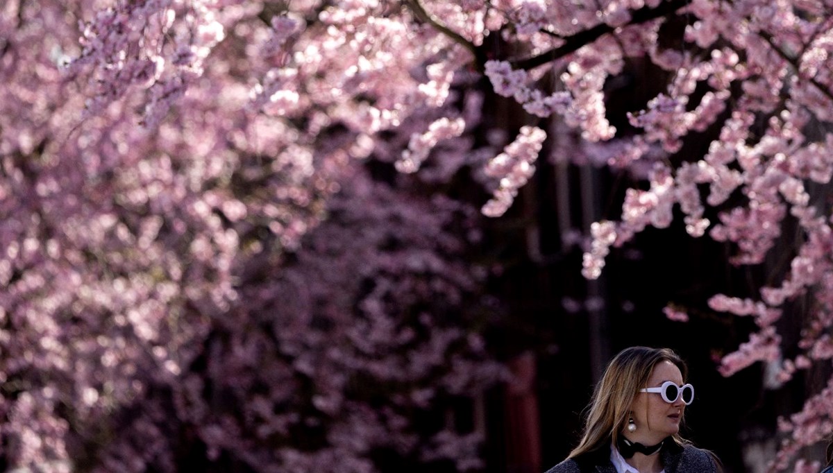 Almanya'da sokaklar pembeye büründü