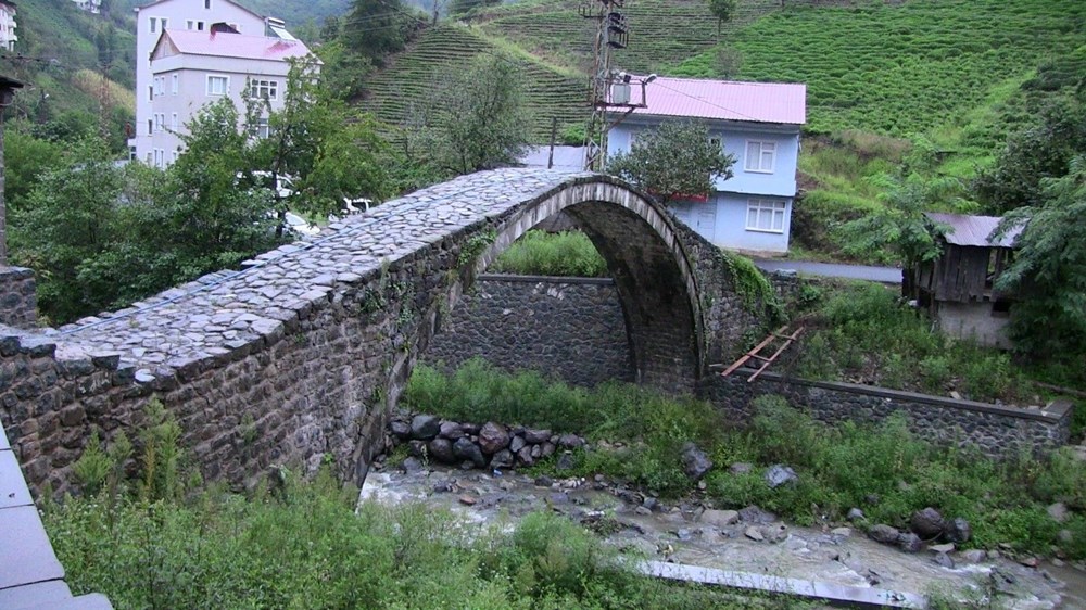 Artvin'de böcek istilası - 4