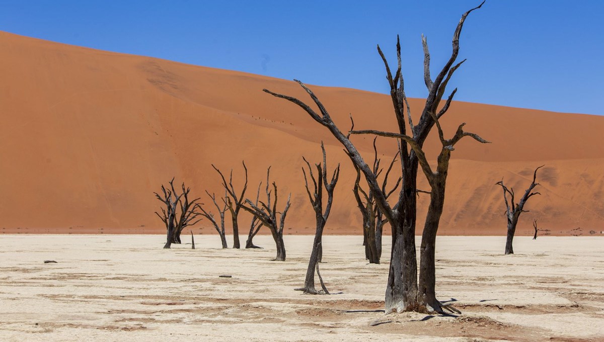 Dünyanın en yaşlı çölü: Namib