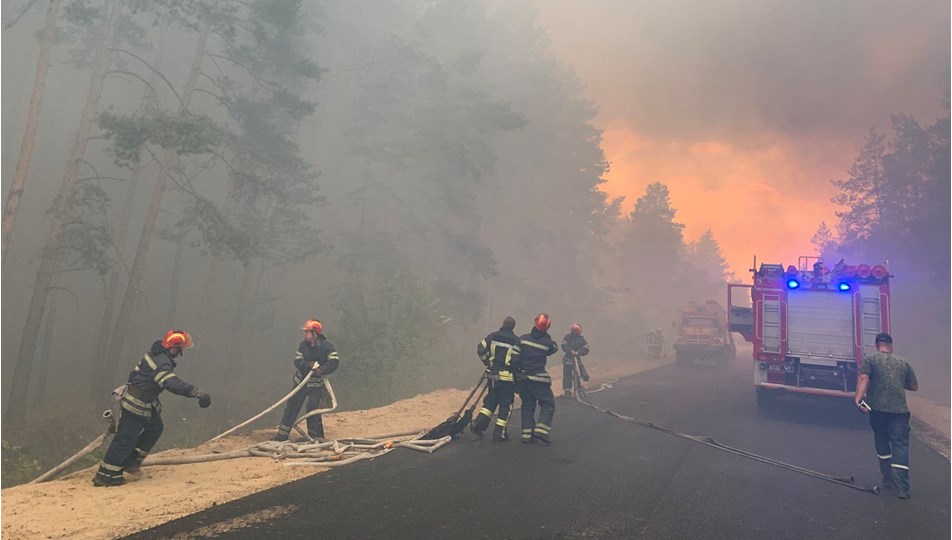 Ukrayna'da orman yangınlarında 5 kişi öldü