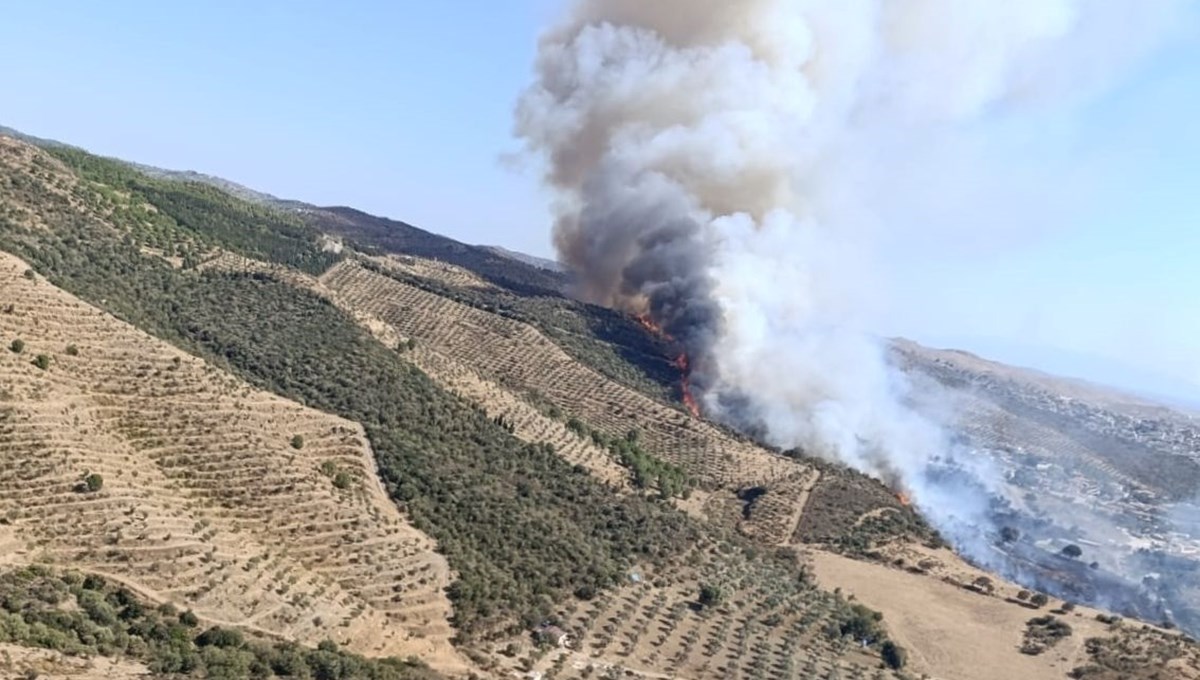 Urla'da makilk alanda yangın