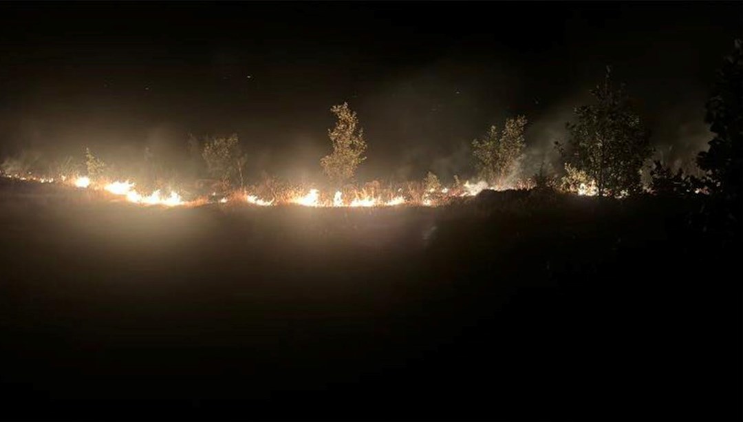 Elazığ’da ormanlık alana yayılan arazi yangını kontrol altına alındı