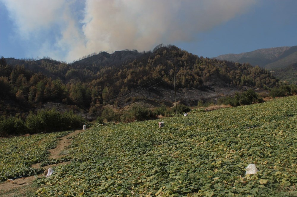 Hatay'daki orman yangını 5'inci gününde kontrol altında - 4
